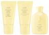 Oribe HAIR ALCHEMY HEATLESS STYLING SET