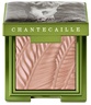 Chantecaille Luminescent Eye Shadow Narika