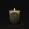 Diptyque Musc Classic Candle