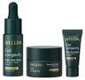 Weleda Cell Longevity SUPER ANTI-AGING Trial Set
