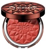 By Terry Tea to Tan Blush Powder 5.Brick Beach