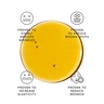 Irene Forte Phytomelatonin Rejuvenating Serum with Dr Ferri APM™