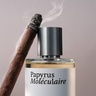 Maison Crivelli Papyrus Moléculaire 100 ml